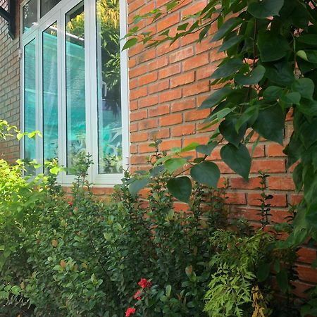 Q'Tropical Garden Homestay Hue Exterior photo